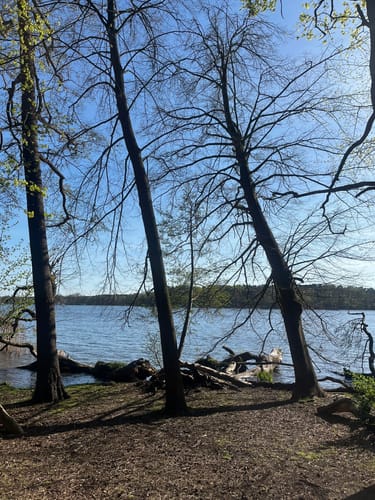 Schmetterlingshorst - Langer See Rundwanderung