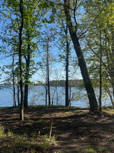 Schmetterlingshorst - Langer See Rundwanderung