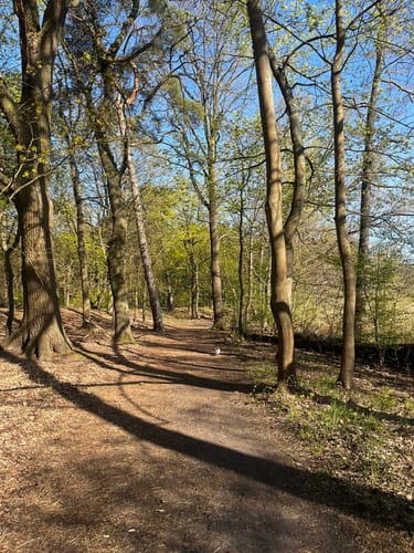 Schmetterlingshorst - Langer See Rundwanderung