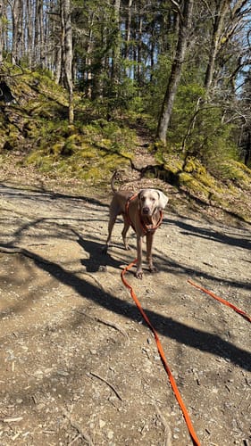Dreitälerweg