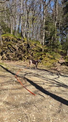 Dreitälerweg