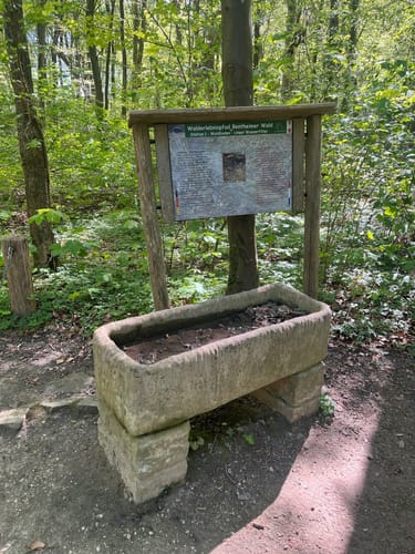 Bentheimer Sandsteinweg: Auf dem Weg zu einem Riesen