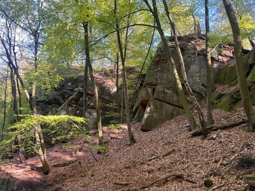 Bentheimer Sandsteinweg: Auf dem Weg zu einem Riesen
