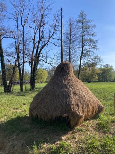 Rundwanderung nach Lehde