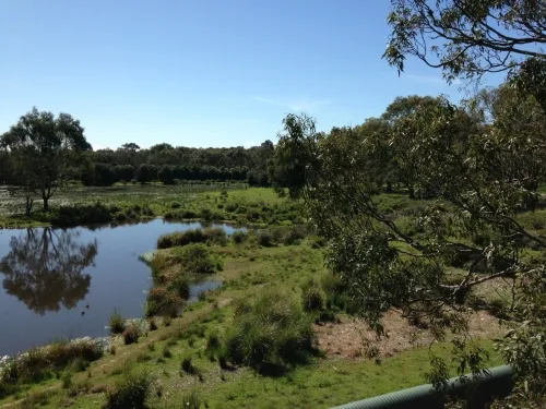 10 Best Hikes and Trails in Phillip Island Nature Park | AllTrails