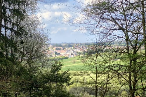 Natura Trail Mandelbachtal
