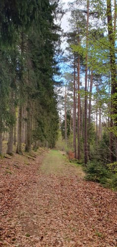 Gruendchentour - rote Tour