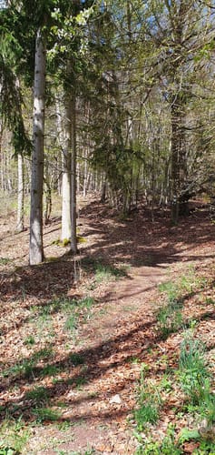 Gruendchentour - rote Tour