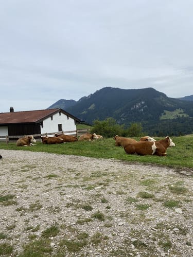 Rund um den Heuberg