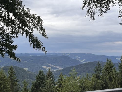 Westweg Etappe 6: Hark - Hausach