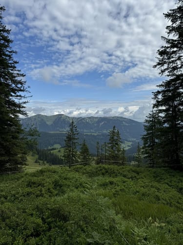 Zum Riedersberger Horn