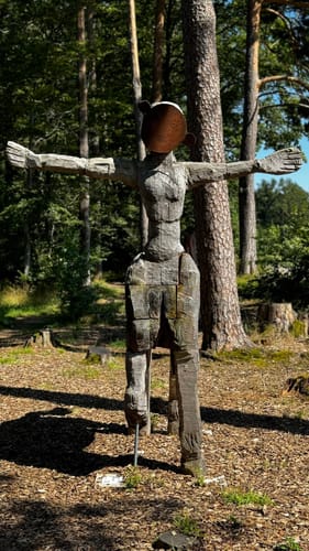 Wasser-, Wald- und Wiesenpfad (Premiumwanderweg)