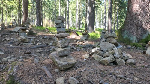 Um Riedlberg