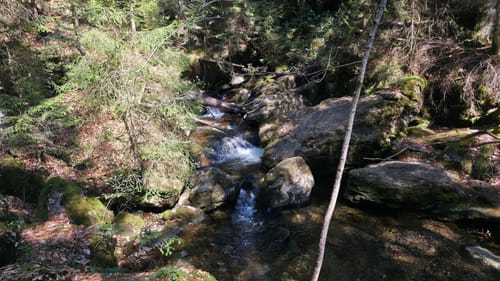 Um Riedlberg