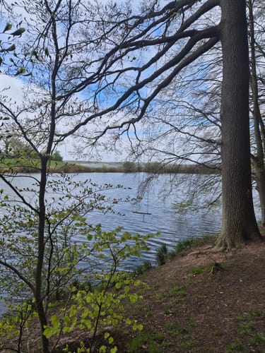 Um den Lanker See