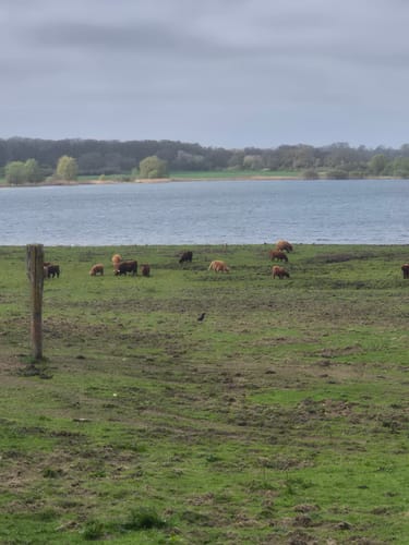 Um den Lanker See