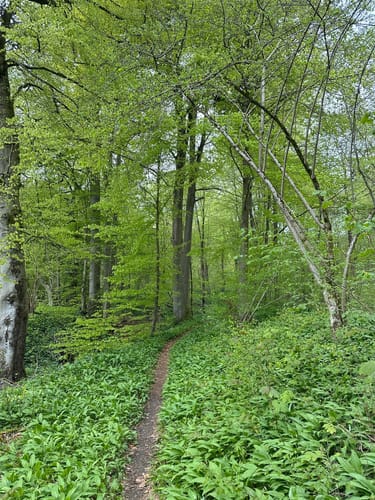 Zur Stauffenburg