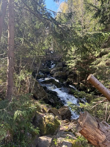 Steinerne Renne - Brocken