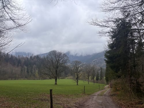 Spitzingscheibe ab Geitau