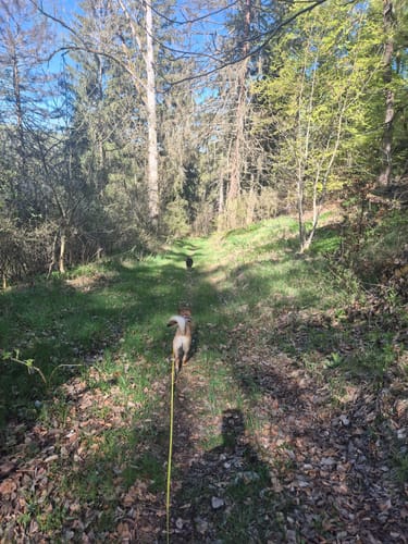 Greding Rundwanderweg 9