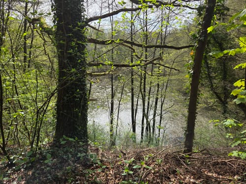 Bad Salzuflen Rundweg 1