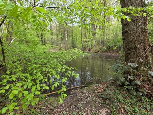 Bad Salzuflen Rundweg 1