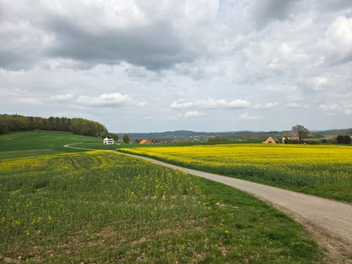 Bad Salzuflen Rundweg 1