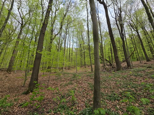 Bad Salzuflen Rundweg 1