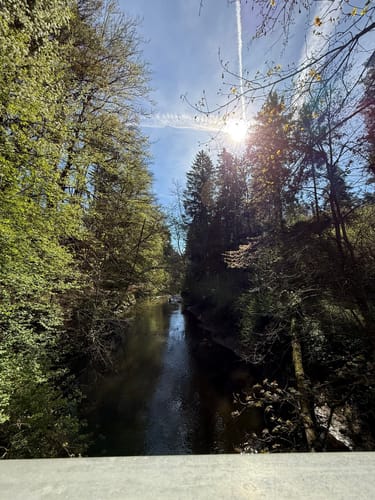 Feucht - Schwarzachklamm