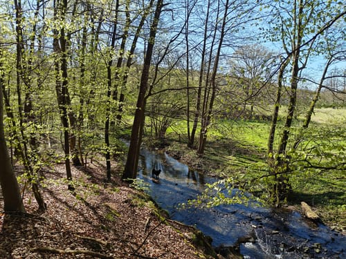Pilgerweg Loccum-Volkenroda