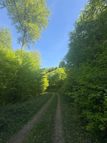 Wasserlos - Rundwanderweg Milan