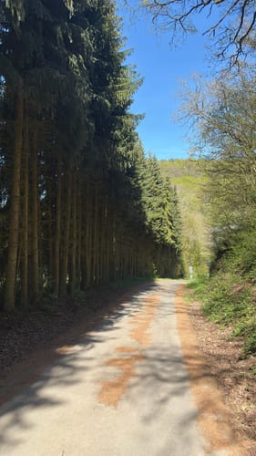 Riedener Seeblick (Premiumspazierwanderweg)
