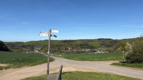 Riedener Seeblick (Premiumspazierwanderweg)