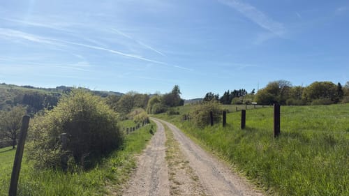 Riedener Seeblick (Premiumspazierwanderweg)
