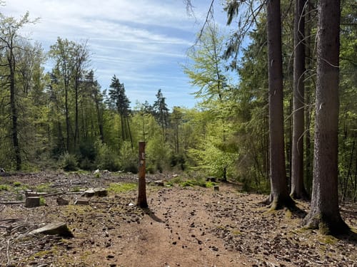 Staatsbad Brückenau - Eckarts