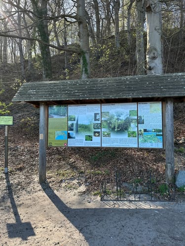 Hochuferwanderweg Binz - Sellin