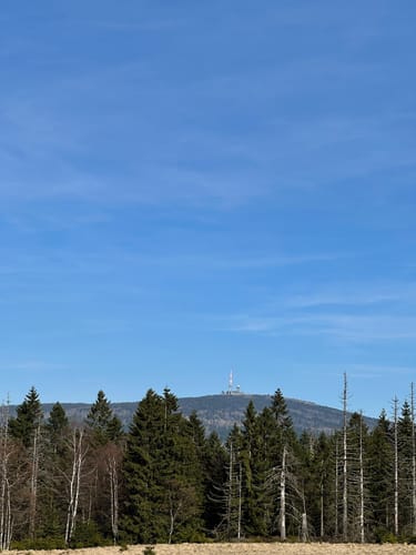Rund um das Große Torfhausmoor