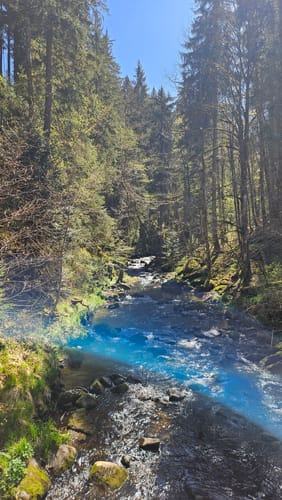 Wutachschlucht - Rötenbach