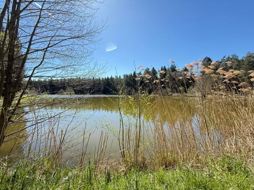 Neunkirchen am Sand Rundwanderweg Grün 1