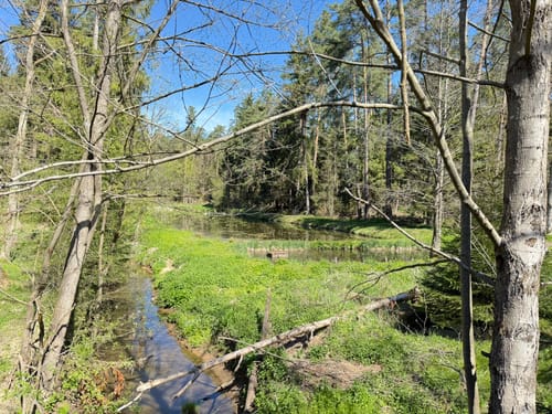 Neunkirchen am Sand Rundwanderweg Grün 1