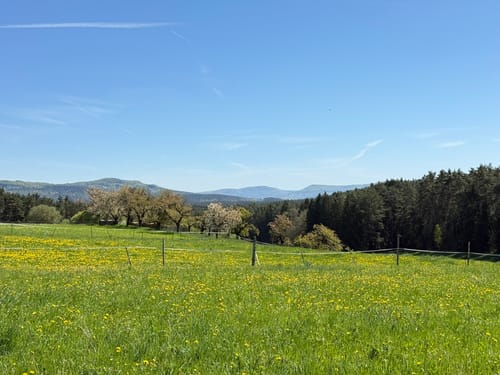Neunkirchen am Sand Rundwanderweg Grün 1