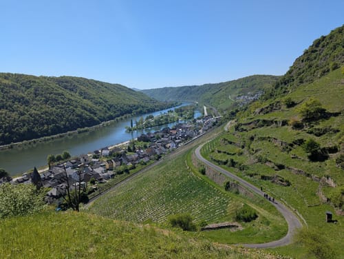 Moselsteig Etappe 21: Moselkern - Löf