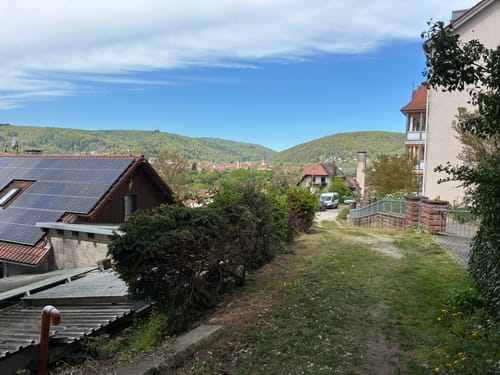 Lohr - Waldzell