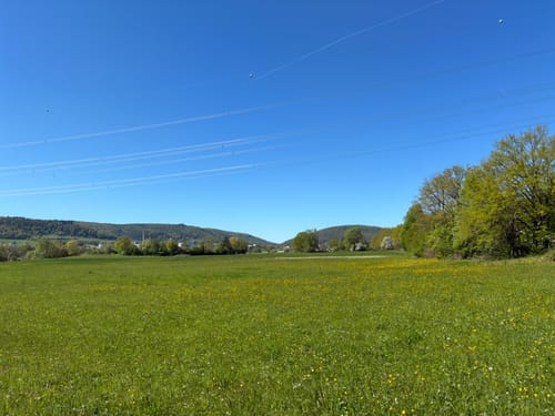 Lohr - Waldzell