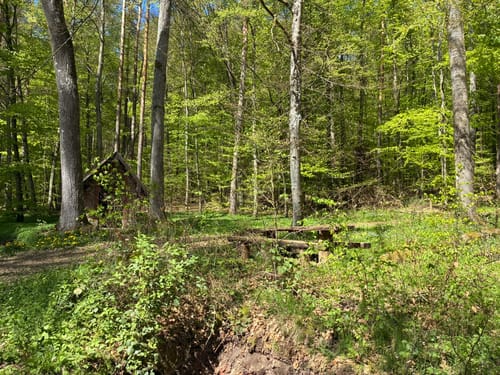 Lohr - Waldzell