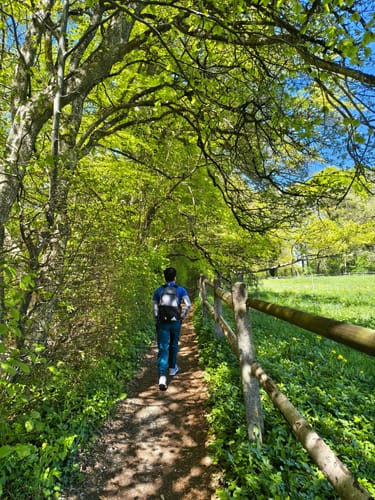 Hersching - Andechs Monastery Loop