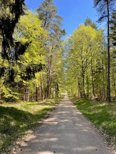 Moosbach Imkerrunde No.6