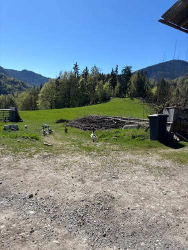 Wanderweg 8 - Brannenburg