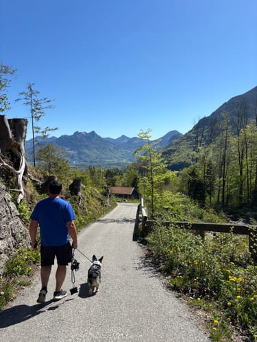 Wanderweg 8 - Brannenburg