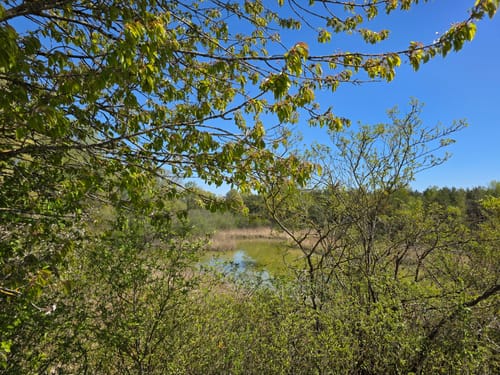 Durchs Naturschutzgebiet Mallertshofer Holz